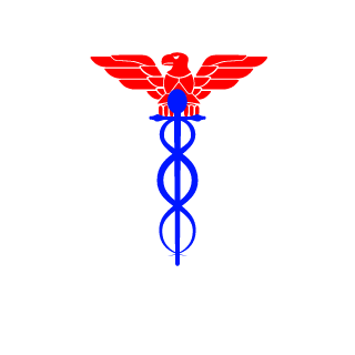 BasedCastle5063's emblem
