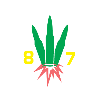 WONDER_W0MAN87's emblem