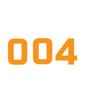 004zoom's emblem
