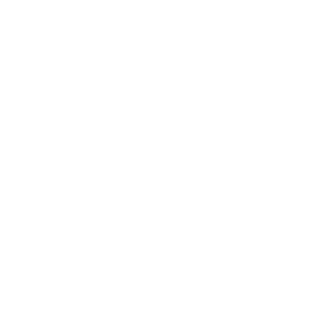 mR9900's emblem