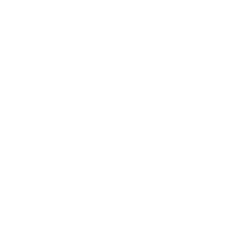 Baugnir21's emblem