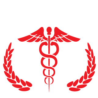 BSG Iceman's emblem