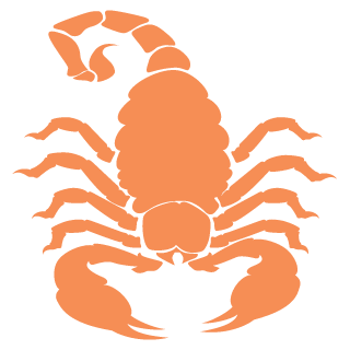 Skorp_26Ru's emblem