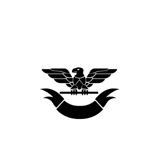 h_roogi_511's emblem