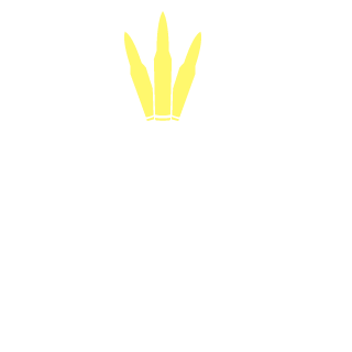 DZPWK's emblem