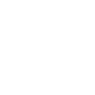 BM-Kobra's emblem