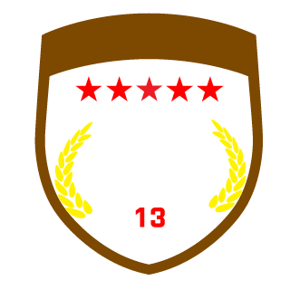 Medieval9916's emblem