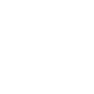 Sanych_196's emblem
