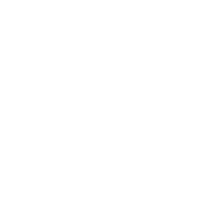 Sanya98_RUS's emblem