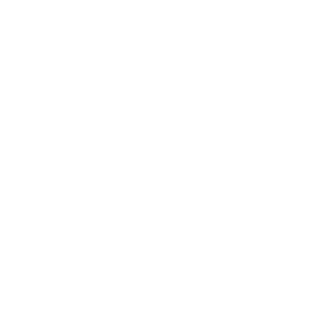 EvilEntity's emblem