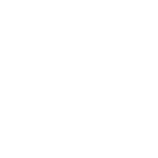 aydenflynn's emblem