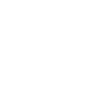 zyxitfen's emblem