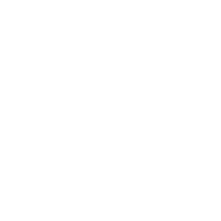 TeflonGER's emblem
