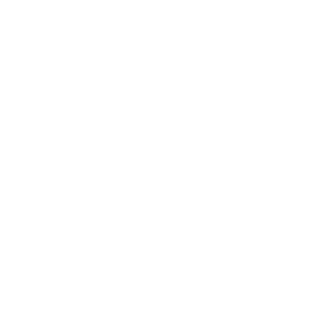 XTuringmachineX's emblem
