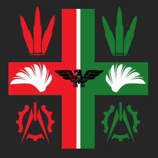 1p2a11p2a1's emblem