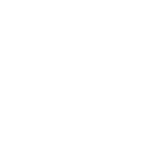 AlejandroSonne's emblem