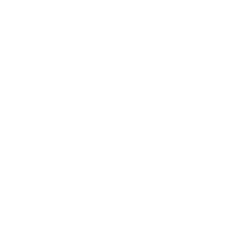 PIALOZORD's emblem