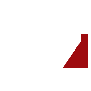 IronWizard45's emblem