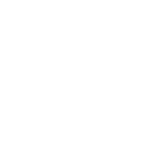 Bazuzu71rus's emblem