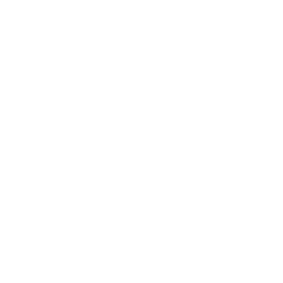 Thunderbo1tl's emblem