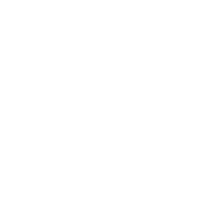 FoxData's emblem