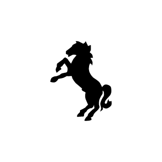 nikizikz's emblem