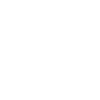 DEATHDEALER215's emblem
