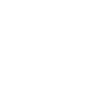 RocknBrain's emblem