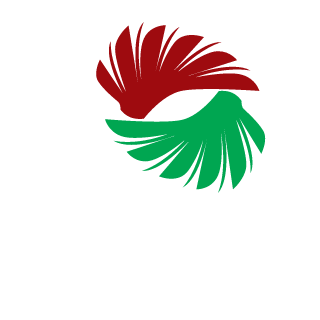 tixon0810's emblem