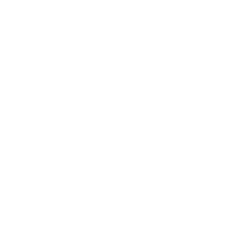 HitReg100's emblem