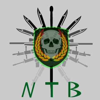 NetzwerkTeam Bergedorf's emblem