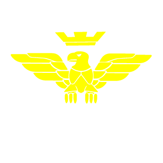 ElronSV's emblem
