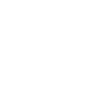 LioRebellion's emblem