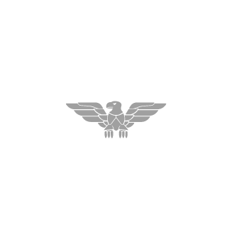 ThermicBubble45's emblem