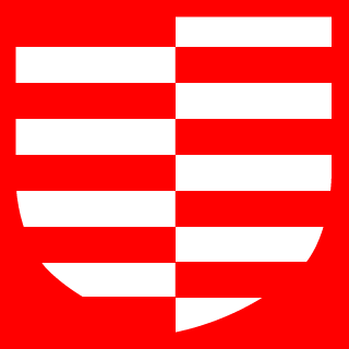 bsgk's emblem
