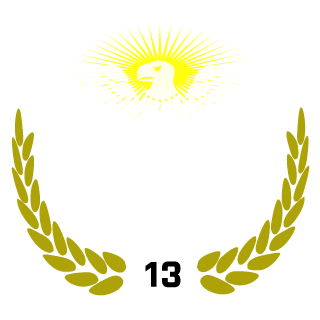 FIROUZ13's emblem