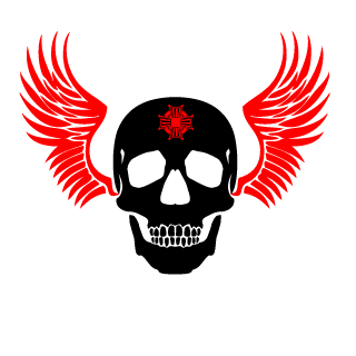 N0kfixed's emblem