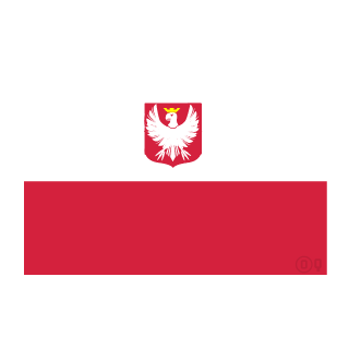 VdeszuPL's emblem