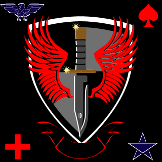 SOAR's emblem
