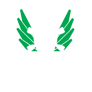 Sekmex's emblem