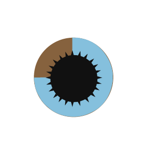 3blue1brown's emblem