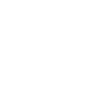 Ansp1d's emblem