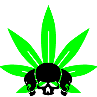 guitarslasher2's emblem