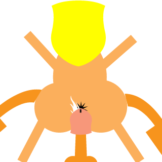 TheMagicGrass's emblem