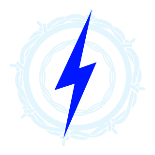 calibri843's emblem