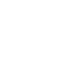 amazingbigbird's emblem
