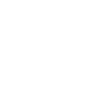 FashionFrame's emblem