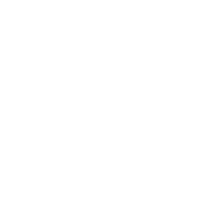 ThatFluxOrbit's emblem
