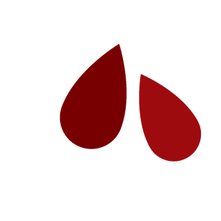 NNeRVe's emblem