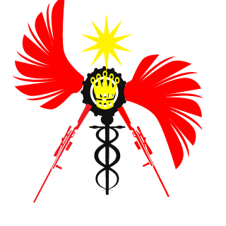 patrykpiotr2's emblem